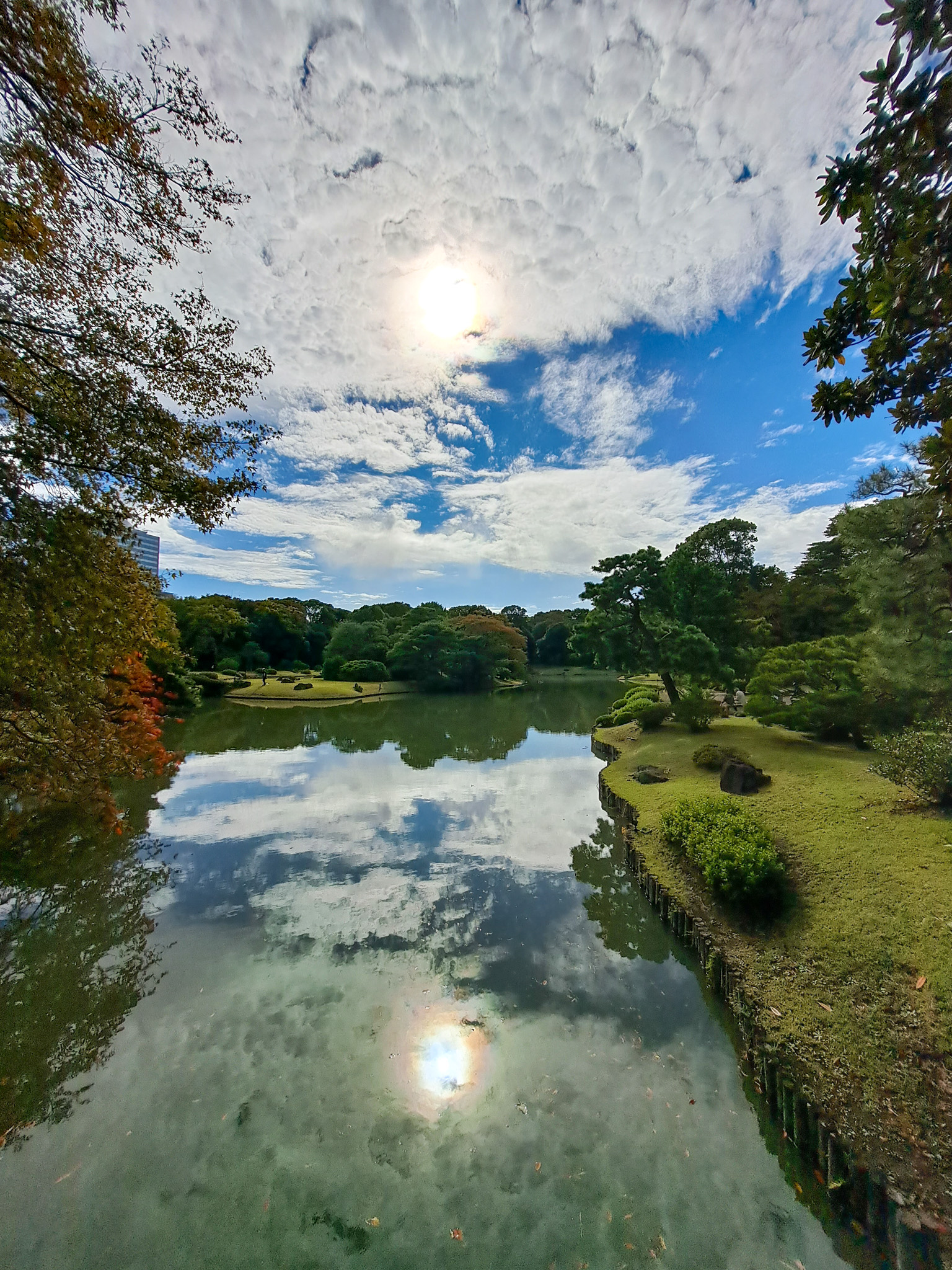 Japanischer Garten mit Teich und Wolkenspiegelung, Tokyo